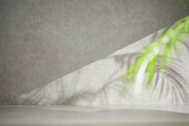 Penceresinden güneş ışığı geçen çeşitli aksesuarları olan gri renkli bir fayans..