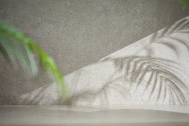 Penceresinden güneş ışığı geçen çeşitli aksesuarları olan gri renkli bir fayans..