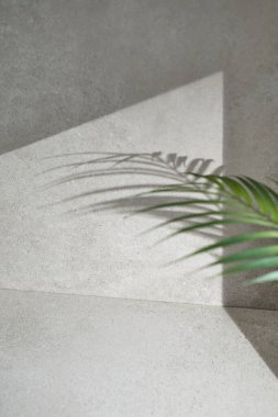 Penceresinden güneş ışığı geçen çeşitli aksesuarları olan gri renkli bir fayans..