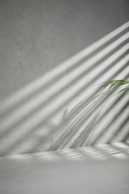 Pencereleri olan güneşli bir oda. Farklı tasarımlar için birden fazla nesne ve gölge barındıran bir arka plan..