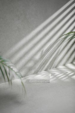 Pencereleri olan güneşli bir oda. Farklı tasarımlar için birden fazla nesne ve gölge barındıran bir arka plan..