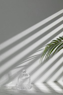 Pencereleri olan güneşli bir oda. Farklı tasarımlar için birden fazla nesne ve gölge barındıran bir arka plan..