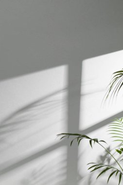 Pencereleri olan güneşli bir oda. Farklı tasarımlar için birden fazla nesne ve gölge barındıran bir arka plan..