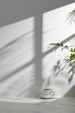 Pencereleri olan güneşli bir oda. Farklı tasarımlar için birden fazla nesne ve gölge barındıran bir arka plan..