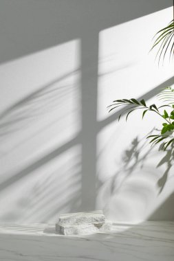 Pencereleri olan güneşli bir oda. Farklı tasarımlar için birden fazla nesne ve gölge barındıran bir arka plan..