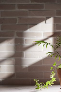 Çeşitli nesneler ve klasik tuğla arka plan. Pencereden içeri güneş ışığı gölgeleri giriyor..