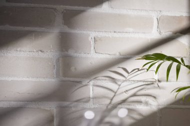 Çeşitli nesneler ve klasik tuğla arka plan. Pencereden içeri güneş ışığı gölgeleri giriyor..