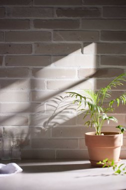 Çeşitli nesneler ve klasik tuğla arka plan. Pencereden içeri güneş ışığı gölgeleri giriyor..