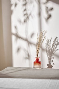 Sıcak güneş ışığı pencereden içeri akıyor, arka plan, çiçekler, vazolar ve bitkilerle dolu bir masa. Işık ve gölgenin ahengi..