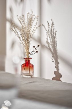 Sıcak güneş ışığı pencereden içeri akıyor, arka plan, çiçekler, vazolar ve bitkilerle dolu bir masa. Işık ve gölgenin ahengi..