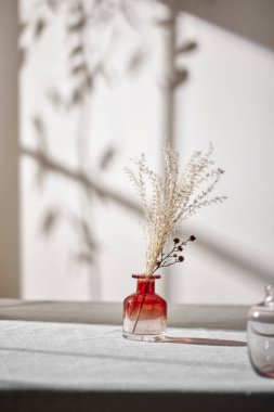 Sıcak güneş ışığı pencereden içeri akıyor, arka plan, çiçekler, vazolar ve bitkilerle dolu bir masa. Işık ve gölgenin ahengi..