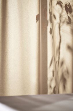 Sıcak güneş ışığı pencereden içeri akıyor, arka plan, çiçekler, vazolar ve bitkilerle dolu bir masa. Işık ve gölgenin ahengi..