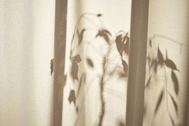 Sıcak güneş ışığı pencereden içeri akıyor, arka plan, çiçekler, vazolar ve bitkilerle dolu bir masa. Işık ve gölgenin ahengi..