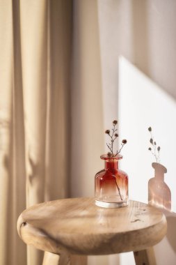 Sıcak güneş ışığı pencereden içeri akıyor, arka plan, çiçekler, vazolar ve bitkilerle dolu bir masa. Işık ve gölgenin ahengi..