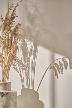 Sıcak güneş ışığı pencereden içeri akıyor, arka plan, çiçekler, vazolar ve bitkilerle dolu bir masa. Işık ve gölgenin ahengi..