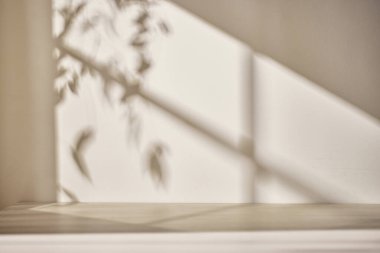 Sıcak güneş ışığı pencereden içeri akıyor, arka plan, çiçekler, vazolar ve bitkilerle dolu bir masa. Işık ve gölgenin ahengi..