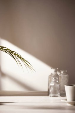 Sıcak güneş ışığı pencereden içeri akıyor, arka plan, çiçekler, vazolar ve bitkilerle dolu bir masa. Işık ve gölgenin ahengi..