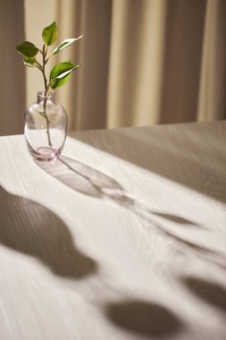 Sıcak güneş ışığı pencereden içeri akıyor, arka plan, çiçekler, vazolar ve bitkilerle dolu bir masa. Işık ve gölgenin ahengi..