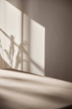 Sıcak güneş ışığı pencereden içeri akıyor, arka plan, çiçekler, vazolar ve bitkilerle dolu bir masa. Işık ve gölgenin ahengi..