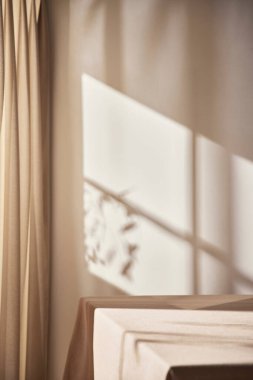 Sıcak güneş ışığı pencereden içeri akıyor, arka plan, çiçekler, vazolar ve bitkilerle dolu bir masa. Işık ve gölgenin ahengi..