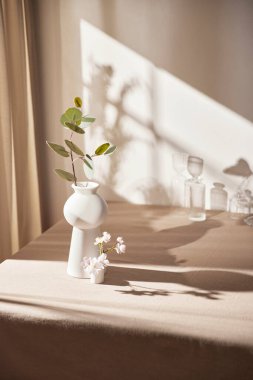 Sıcak güneş ışığı pencereden içeri akıyor, arka plan, çiçekler, vazolar ve bitkilerle dolu bir masa. Işık ve gölgenin ahengi..