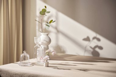 Sıcak güneş ışığı pencereden içeri akıyor, arka plan, çiçekler, vazolar ve bitkilerle dolu bir masa. Işık ve gölgenin ahengi..