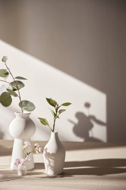 Sıcak güneş ışığı pencereden içeri akıyor, arka plan, çiçekler, vazolar ve bitkilerle dolu bir masa. Işık ve gölgenin ahengi..