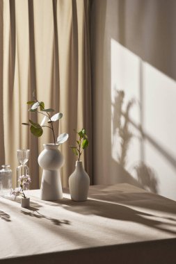 Sıcak güneş ışığı pencereden içeri akıyor, arka plan, çiçekler, vazolar ve bitkilerle dolu bir masa. Işık ve gölgenin ahengi..