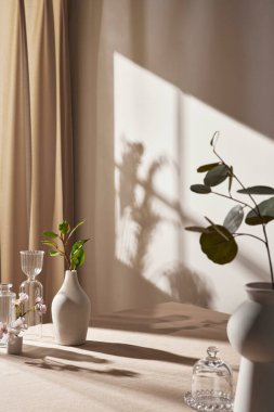 Sıcak güneş ışığı pencereden içeri akıyor, arka plan, çiçekler, vazolar ve bitkilerle dolu bir masa. Işık ve gölgenin ahengi..