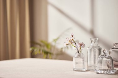 Sıcak güneş ışığı pencereden içeri akıyor, arka plan, çiçekler, vazolar ve bitkilerle dolu bir masa. Işık ve gölgenin ahengi..