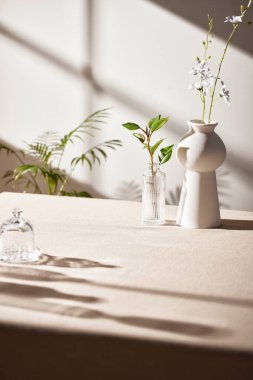 Sıcak güneş ışığı pencereden içeri akıyor, arka plan, çiçekler, vazolar ve bitkilerle dolu bir masa. Işık ve gölgenin ahengi..