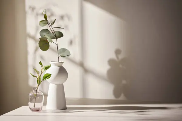 Sıcak güneş ışığı pencereden içeri akıyor, arka plan, çiçekler, vazolar ve bitkilerle dolu bir masa. Işık ve gölgenin ahengi..