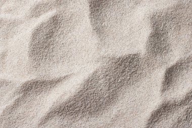 Yumuşak Sahilde Deniz Kabukları ve Denizyıldızı Minimum Kum Yaz Arkaplanı.