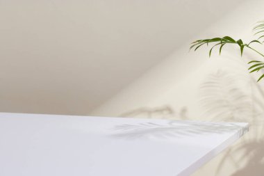 Yaşam Tarzı ve Arkaplan Kullanımı için Asgari Doğal Işık ve Gölge Bileşimi.