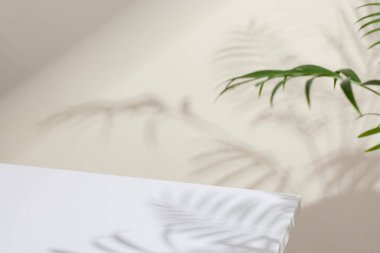 Yaşam Tarzı ve Arkaplan Kullanımı için Asgari Doğal Işık ve Gölge Bileşimi.