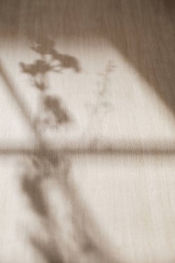 Doğal gölgeli ahşap arkaplan ve pencereden süzülen doğal ışık yaprakları..