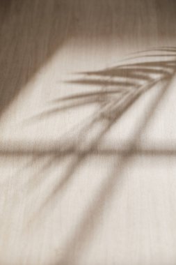 Doğal gölgeli ahşap arkaplan ve pencereden süzülen doğal ışık yaprakları..