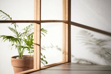 Ahşap pencerelerden, gölgelerden, yeşil yapraklardan ve beyaz duvarlardan gelen yumuşak güneş ışığı..