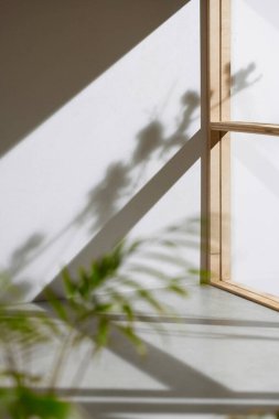 Ahşap pencerelerden, gölgelerden, yeşil yapraklardan ve beyaz duvarlardan gelen yumuşak güneş ışığı..