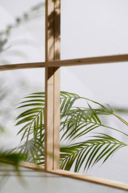 Ahşap pencerelerden, gölgelerden, yeşil yapraklardan ve beyaz duvarlardan gelen yumuşak güneş ışığı..