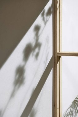 Ahşap pencerelerden, gölgelerden, yeşil yapraklardan ve beyaz duvarlardan gelen yumuşak güneş ışığı..