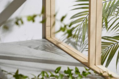 Ahşap pencerelerden, gölgelerden, yeşil yapraklardan ve beyaz duvarlardan gelen yumuşak güneş ışığı..