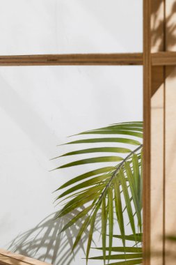 Ahşap pencerelerden, gölgelerden, yeşil yapraklardan ve beyaz duvarlardan gelen yumuşak güneş ışığı..