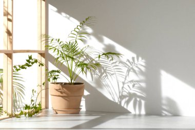 Ahşap pencerelerden, gölgelerden, yeşil yapraklardan ve beyaz duvarlardan gelen yumuşak güneş ışığı..