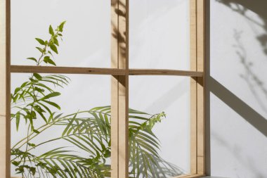 Ahşap pencerelerden, gölgelerden, yeşil yapraklardan ve beyaz duvarlardan gelen yumuşak güneş ışığı..