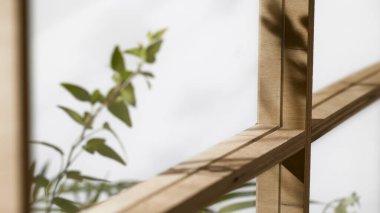 Ahşap pencerelerden, gölgelerden, yeşil yapraklardan ve beyaz duvarlardan gelen yumuşak güneş ışığı..