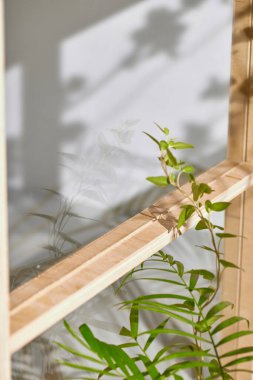 Ahşap pencerelerden, gölgelerden, yeşil yapraklardan ve beyaz duvarlardan gelen yumuşak güneş ışığı..