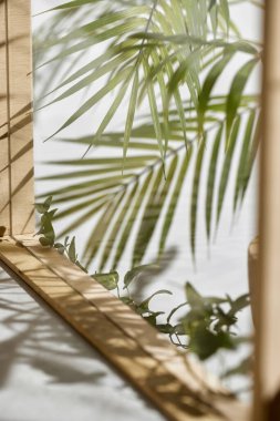 Ahşap pencerelerden, gölgelerden, yeşil yapraklardan ve beyaz duvarlardan gelen yumuşak güneş ışığı..