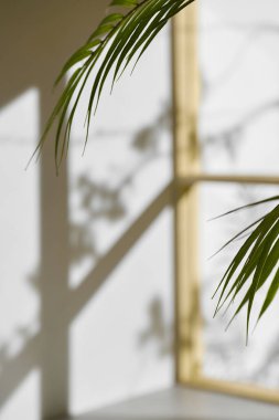 Ahşap pencerelerden, gölgelerden, yeşil yapraklardan ve beyaz duvarlardan gelen yumuşak güneş ışığı..