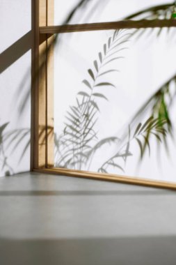 Ahşap pencerelerden, gölgelerden, yeşil yapraklardan ve beyaz duvarlardan gelen yumuşak güneş ışığı..